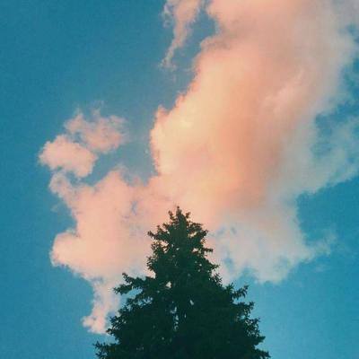 bat365app手机版下载